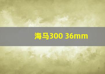 海马300 36mm